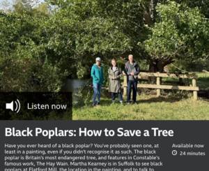 Black Poplars: How to Save a Tree