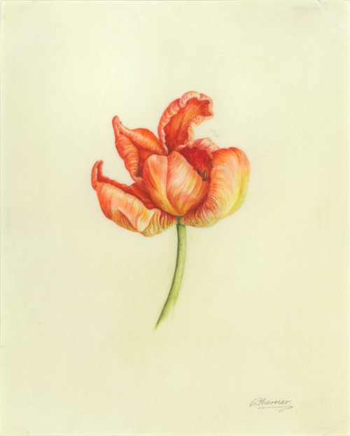 BotanicalVellum1